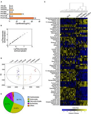 Frontiers | Enhanced Biosynthesis of Fatty Acids Contributes to 